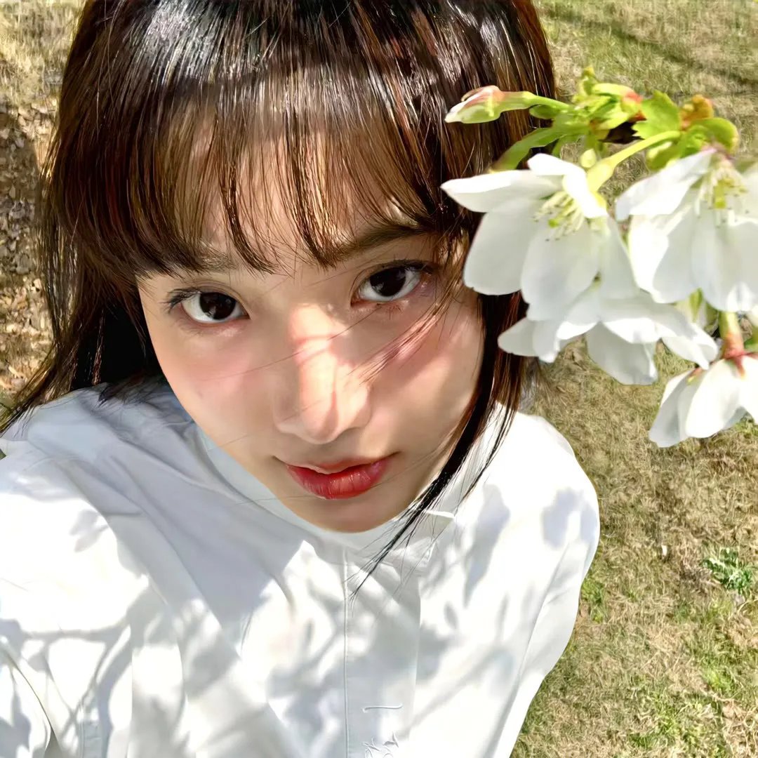 百合熊风暴